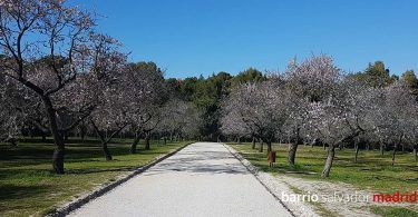quinta de los molinos