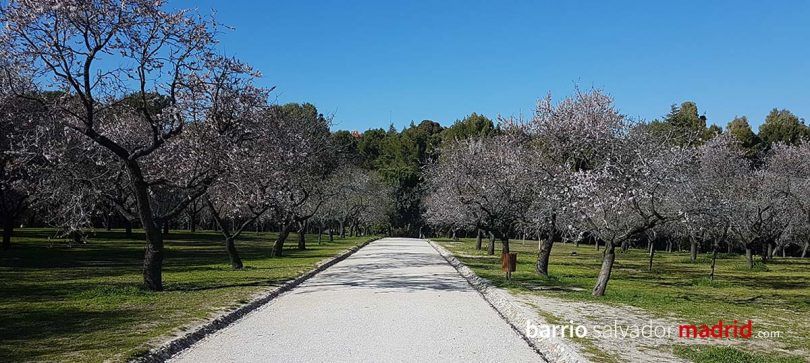 quinta de los molinos