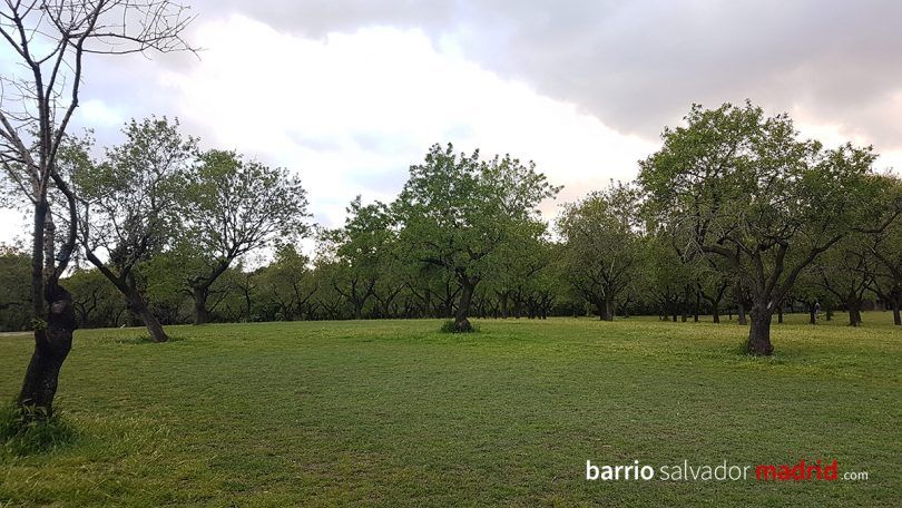 quinta de los molinos madrid