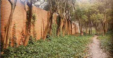 quinta de los molinos
