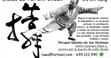 clases de tai chi quinta de los molinos
