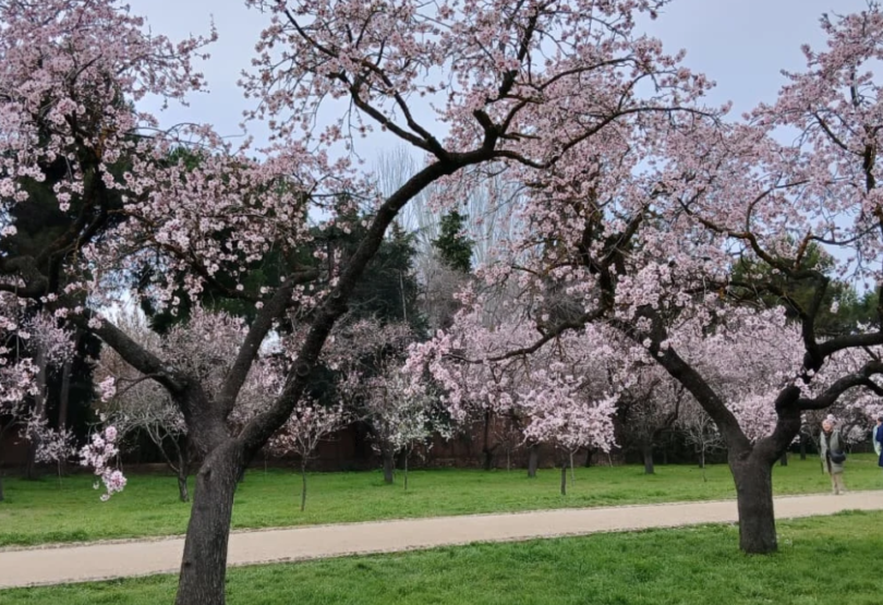 quinta de los molinos madrid