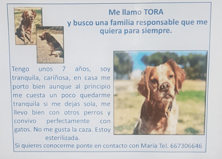 tora en adopción