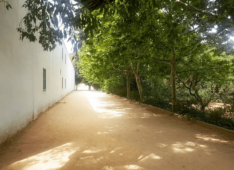 visita guiada quinta de torre arias