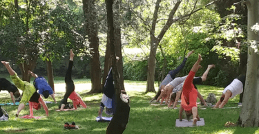 yoga quinta de los molinos