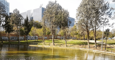 plan arbolado madrid