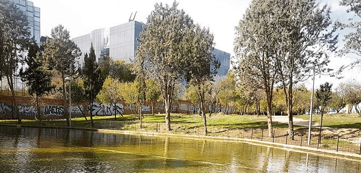 plan arbolado madrid