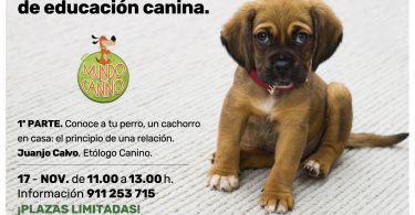 charlas interzoo