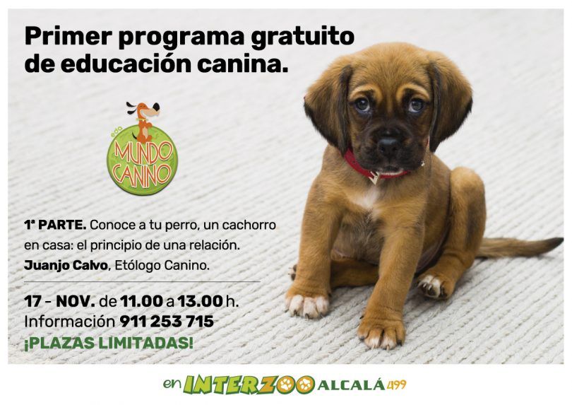 charlas interzoo