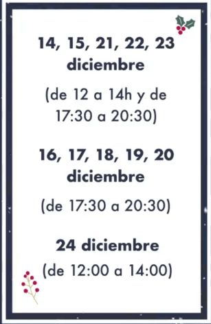 visitas papá noel