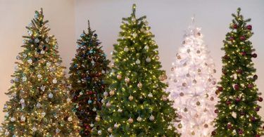 abetos navidad