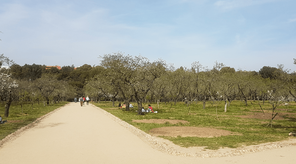 ya no hay flores en la quinta de los molinos