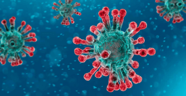 coronavirus
