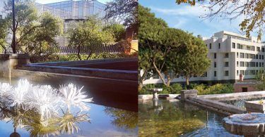 quinta de los molinos antes y después