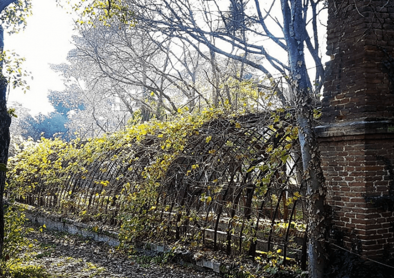 quinta de torre arias