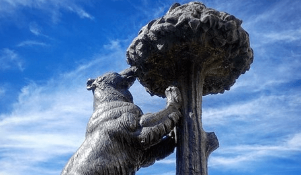 oso y madroño