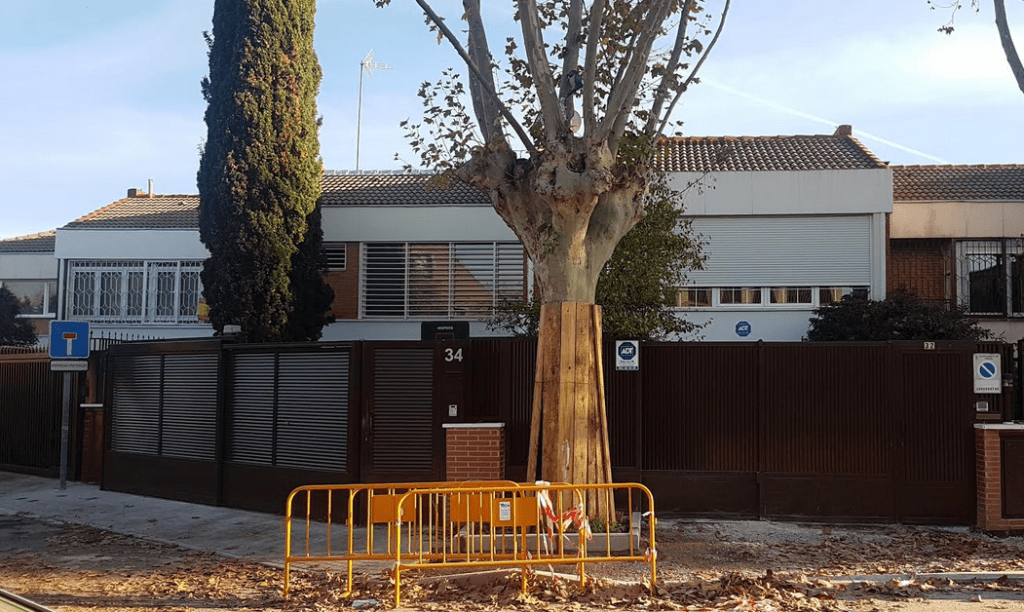 calle teseo en obras