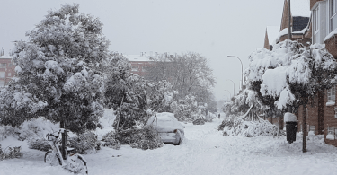 nevada en el barrio salvador