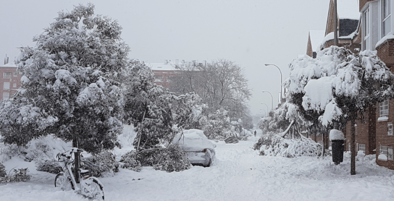 nevada en el barrio salvador