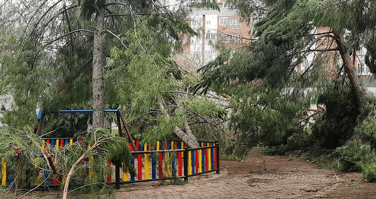 reapertura parques Madrid Filomena