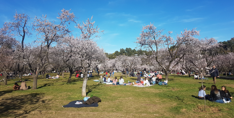 jornada de picnic en la Quinta de los Molinos