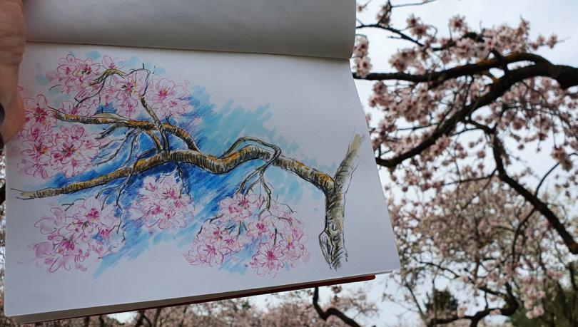 acuarela almendros en flor