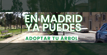 adopta un árbol en Madrid