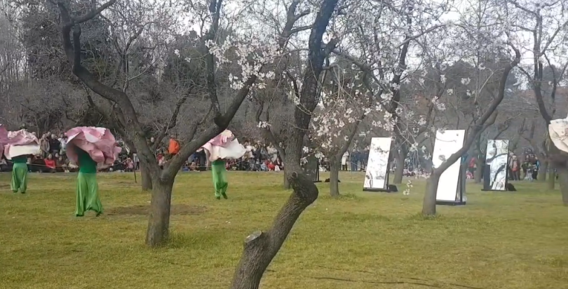 espectáculo baile almendros en flor