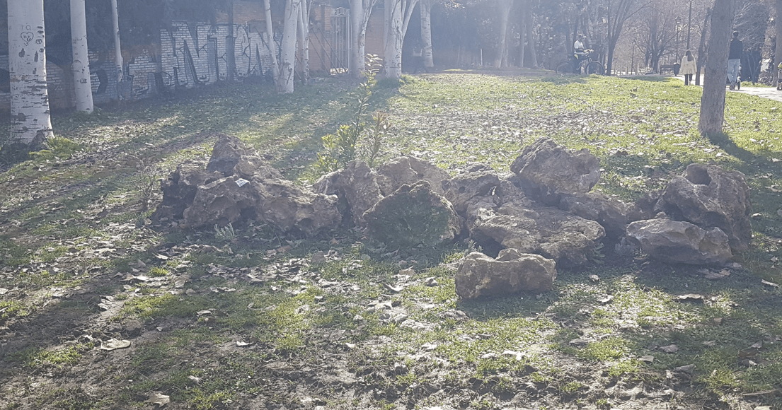 piedras para lagartijas