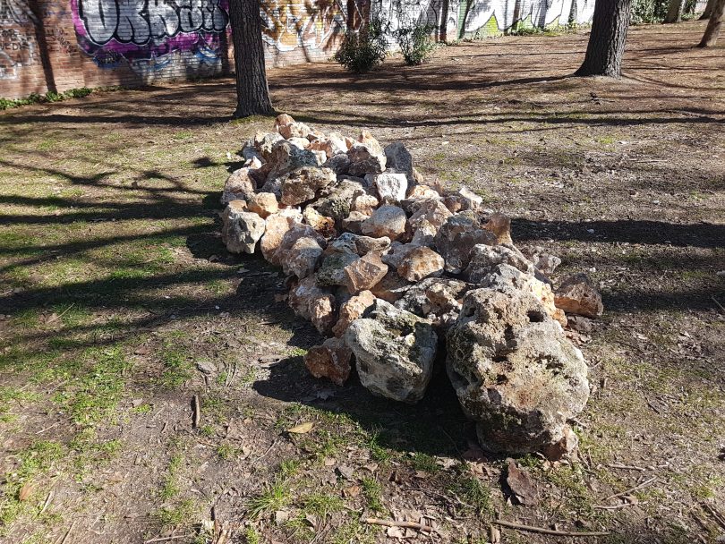 rocas para lagartijas