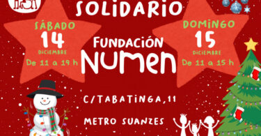 mercadillo fundación numen