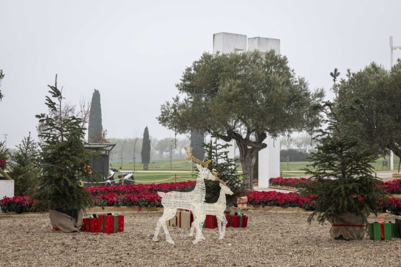 navidad juan carlos 1