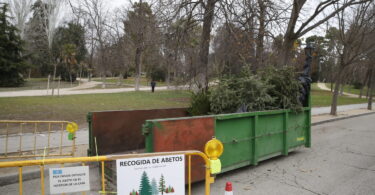recogida árboles navidad madrid