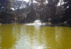 quinta de los molinos