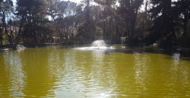 quinta de los molinos