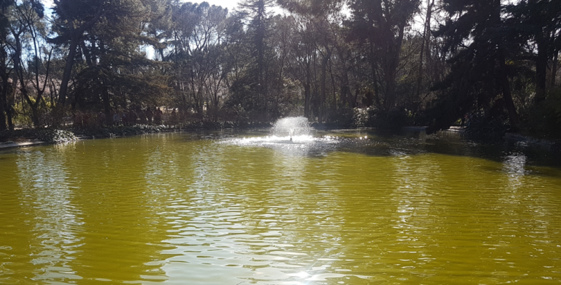 quinta de los molinos