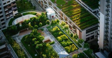 azoteas verdes madrid