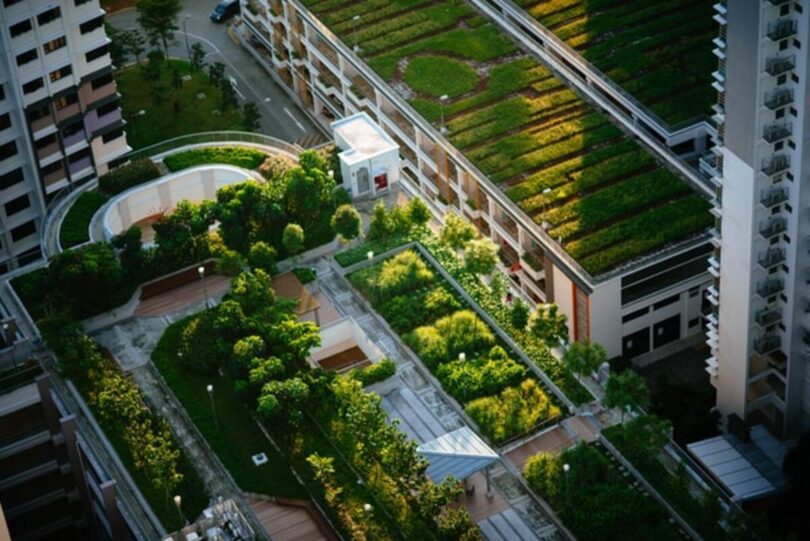 azoteas verdes madrid