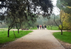 visitas quinta de los molinos