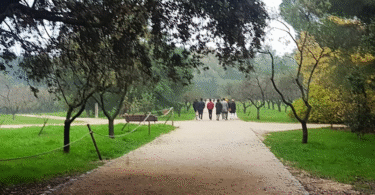 visitas quinta de los molinos