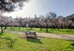 quinta de los molinos madrid