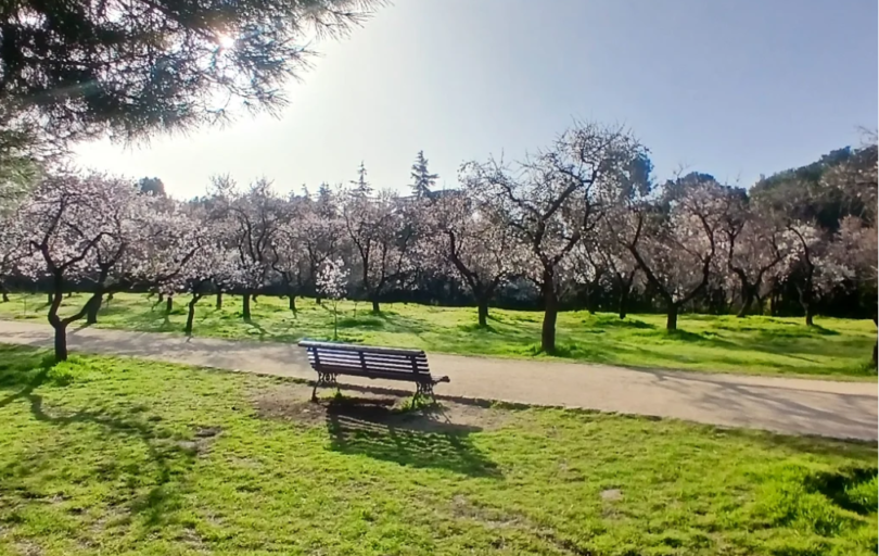 quinta de los molinos madrid