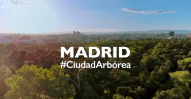 ciudad-arborea