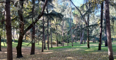 quinta de los molinos otoño