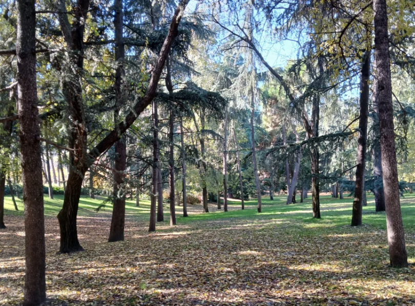 quinta de los molinos otoño