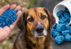 veneno para animales mata un perro